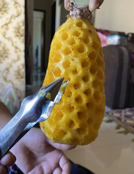 Stainless Steel Pineapple Eye Remover Clip jvsbfb-cr